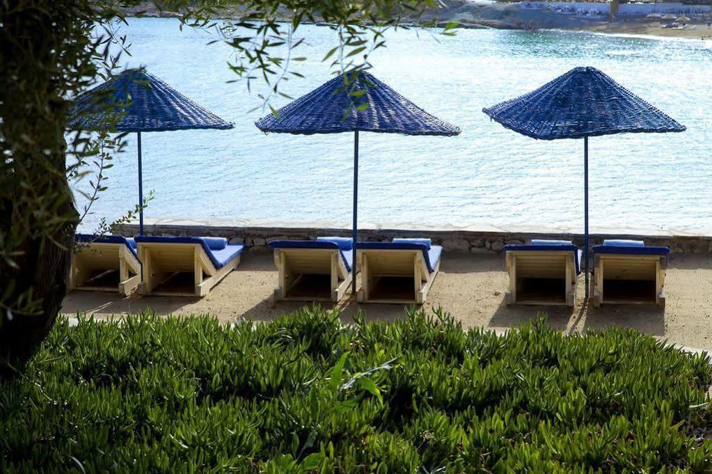 Maya Bistro Hotel & Beach Sigacik Ngoại thất bức ảnh